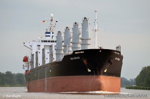 vessel Sea Brave IMO: 9279551, Bulk Carrier
