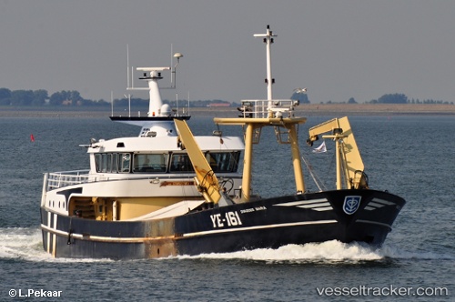 vessel Ye161 Dingenis Maria IMO: 9280249, Fishing Vessel
