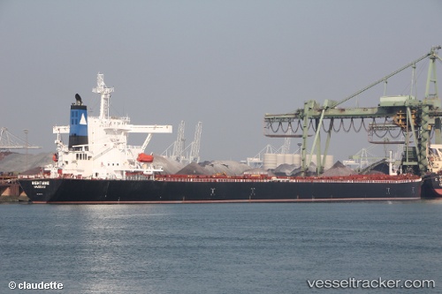 vessel Nightwing IMO: 9281712, Bulk Carrier
