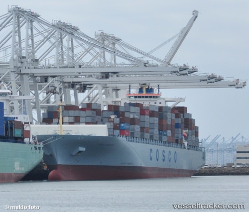 vessel MSC YOKOHAMA IMO: 9285665, Container Ship