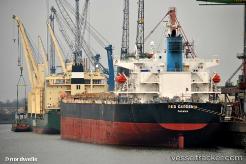 vessel Tramp Lady IMO: 9286621, Bulk Carrier
