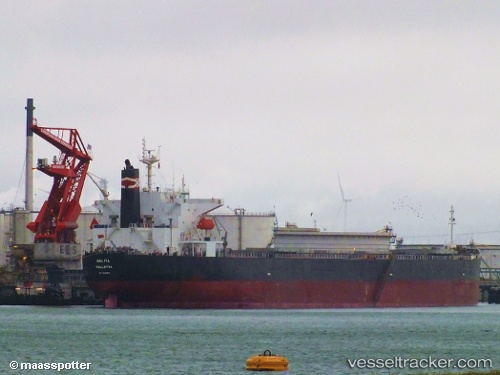vessel XIN FENG IMO: 9286920, Bulk Carrier