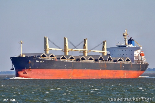 vessel PACIFIC 08 IMO: 9287144, Bulk Carrier