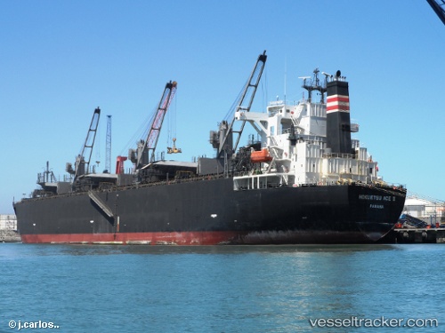 vessel Hokuetsu Ace Ii IMO: 9287211, Wood Chips Carrier
