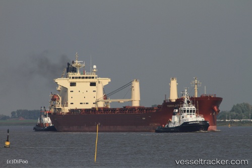 vessel Federal Sakura IMO: 9288291, Bulk Carrier
