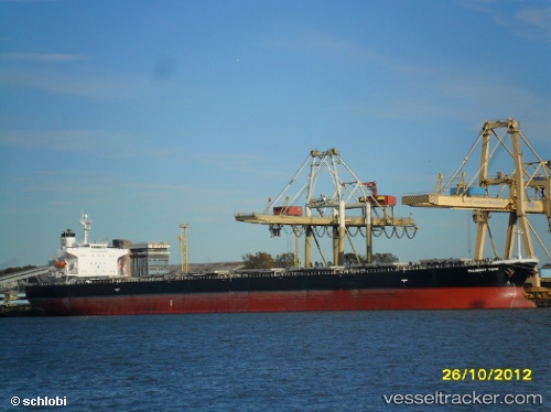 vessel Aqua Lady IMO: 9288435, Bulk Carrier
