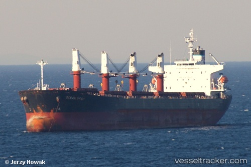 vessel Am Ocean Silver IMO: 9288497, Bulk Carrier
