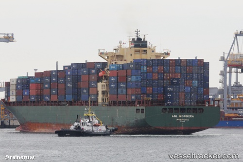 vessel MSC TUXPAN IMO: 9289972, Container Ship
