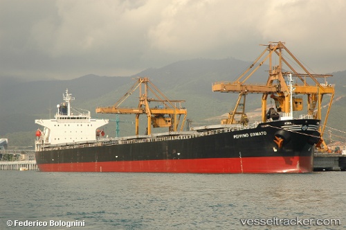vessel Kartini Baruna IMO: 9291107, Bulk Carrier
