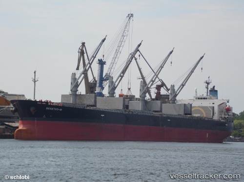 vessel Besiktas m IMO: 9291365, Bulk Carrier
