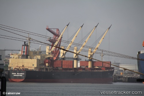 vessel Thor Maximus IMO: 9291391, Bulk Carrier
