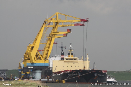 vessel Prabhu Yuvika IMO: 9291781, Bulk Carrier
