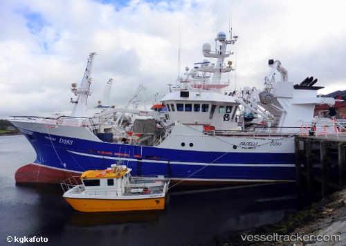 vessel Pacelli IMO: 9294446, Fish Carrier
