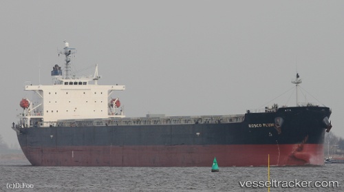 vessel Rosco Plum IMO: 9294496, Bulk Carrier
