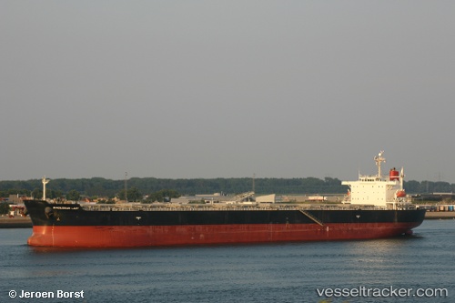 vessel Blessed Luck IMO: 9294501, Bulk Carrier
