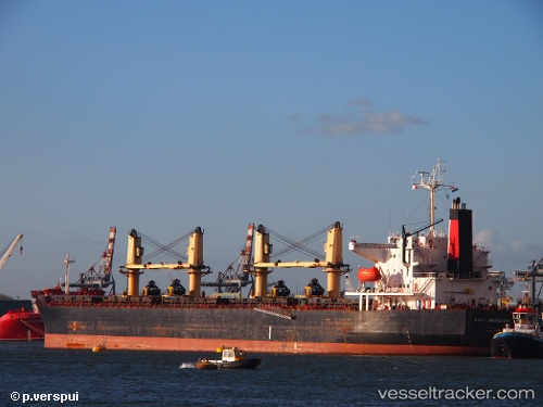 vessel Dubai Ambassador IMO: 9294941, Bulk Carrier
