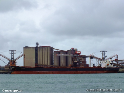 vessel Graecia Universalis IMO: 9295127, Bulk Carrier
