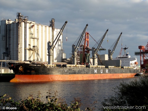 vessel African Ibis IMO: 9295579, Bulk Carrier
