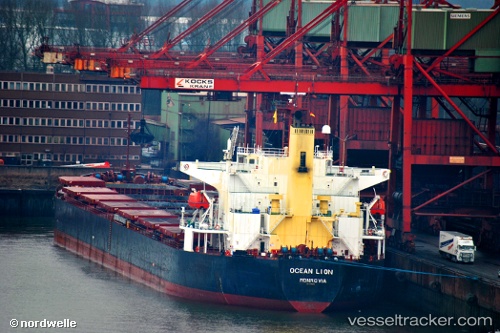 vessel Ocean Lion IMO: 9296248, Bulk Carrier
