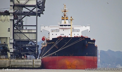 vessel Pedhoulas Trader IMO: 9296626, Bulk Carrier
