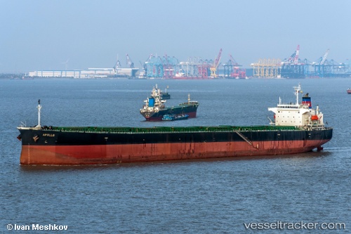 vessel Apollo IMO: 9296793, Bulk Carrier
