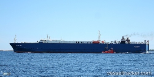 vessel Shahdag IMO: 9297802, Ro Ro Cargo Ship
