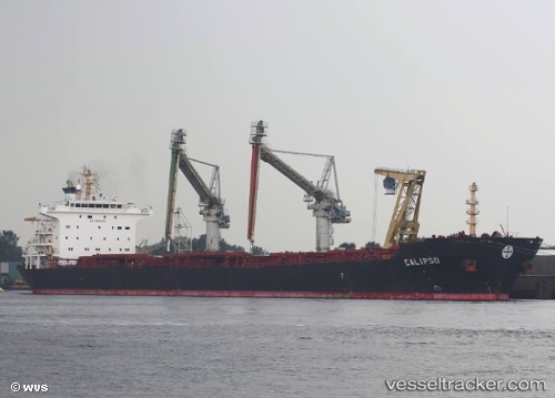 vessel Calipso IMO: 9297929, Bulk Carrier
