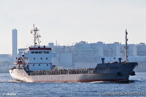 vessel Silver Ocean IMO: 9298430, Bulk Carrier
