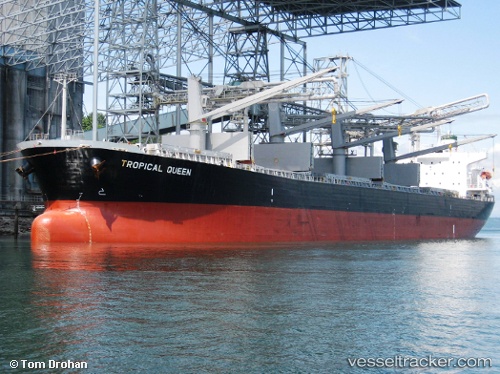 vessel VIGOROUS IMO: 9298521, Bulk Carrier