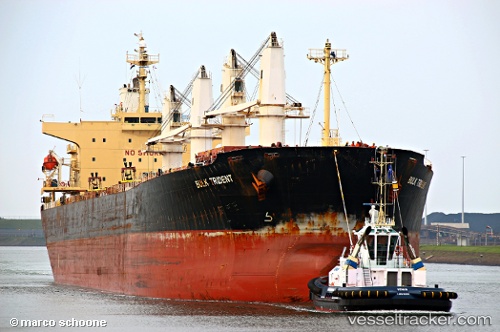 vessel Bulk Trident IMO: 9298545, Bulk Carrier
