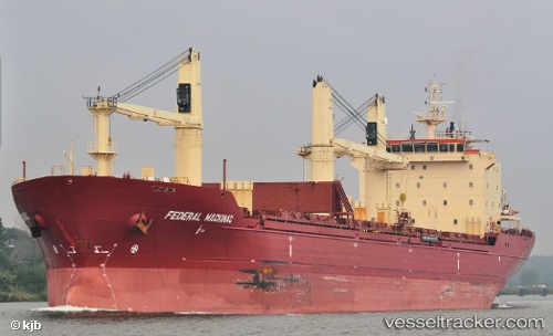 vessel PACIFIC ROSE IMO: 9299460, Bulk Carrier