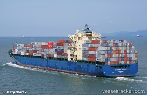 vessel MSC FREEPORT IMO: 9301330, Container Ship