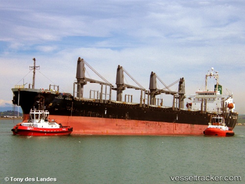vessel Nalinee Naree IMO: 9302906, Bulk Carrier
