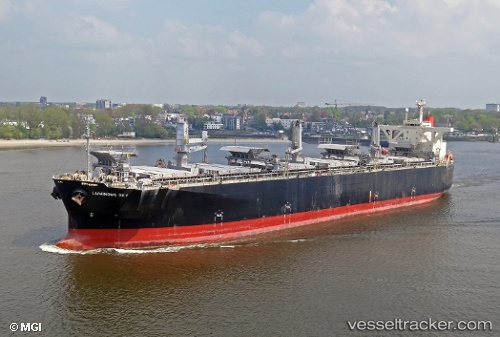 vessel Luminous Sky IMO: 9303118, Wood Chips Carrier
