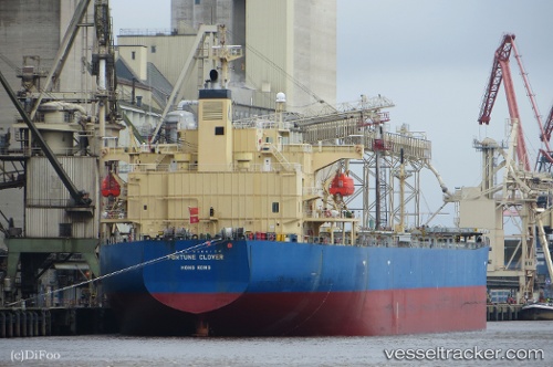 vessel King Loong IMO: 9304124, Bulk Carrier
