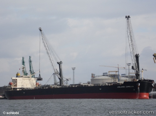 vessel Nenita IMO: 9304289, Bulk Carrier
