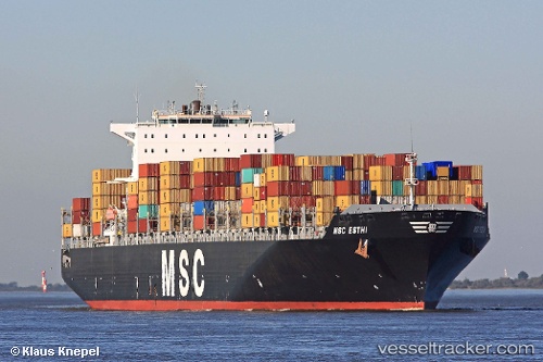 vessel Msc Esthi IMO: 9304411, Container Ship
