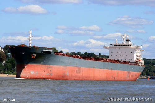 vessel Xin Ang IMO: 9305142, Bulk Carrier
