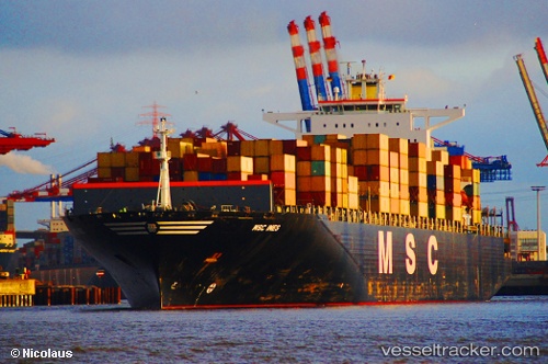 vessel Msc Ines IMO: 9305714, Container Ship
