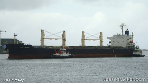 vessel Cos Orchid IMO: 9308704, Bulk Carrier
