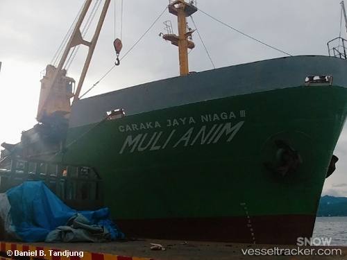 vessel Mv.mulianim IMO: 9310501, Container Ship
