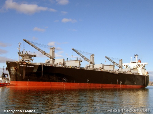 vessel Albany Pioneer IMO: 9310549, Wood Chips Carrier

