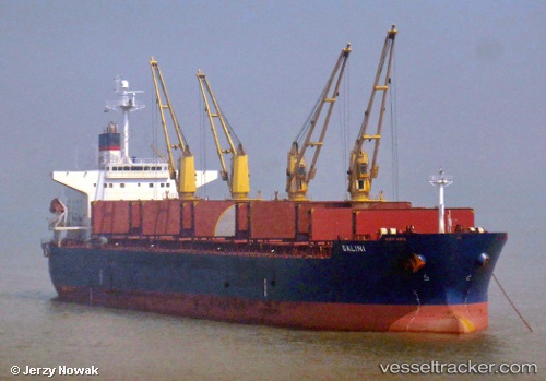 vessel Galini IMO: 9311517, Bulk Carrier
