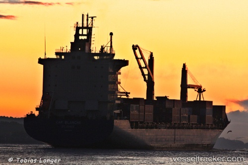 vessel As Carlotta IMO: 9311775, Container Ship
