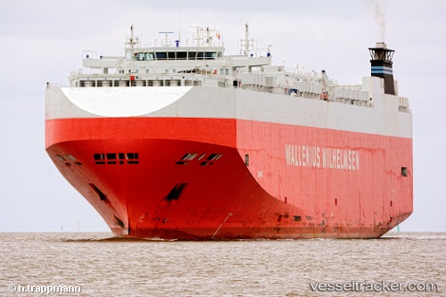 vessel Taipan IMO: 9311866, Vehicles Carrier
