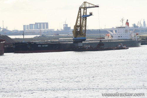 vessel Winning Loyalty IMO: 9314052, Bulk Carrier
