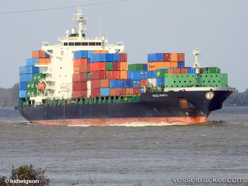 vessel Irenes Remedy IMO: 9315850, Container Ship
