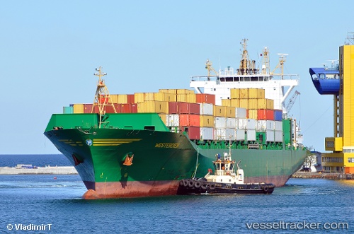 vessel MSC CELINE IMO: 9316361, Container Ship