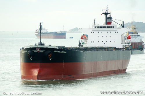 vessel Danae R IMO: 9316878, Bulk Carrier
