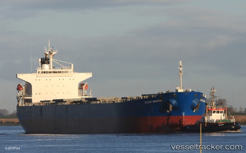 vessel Kavo Paloma IMO: 9316880, Bulk Carrier
